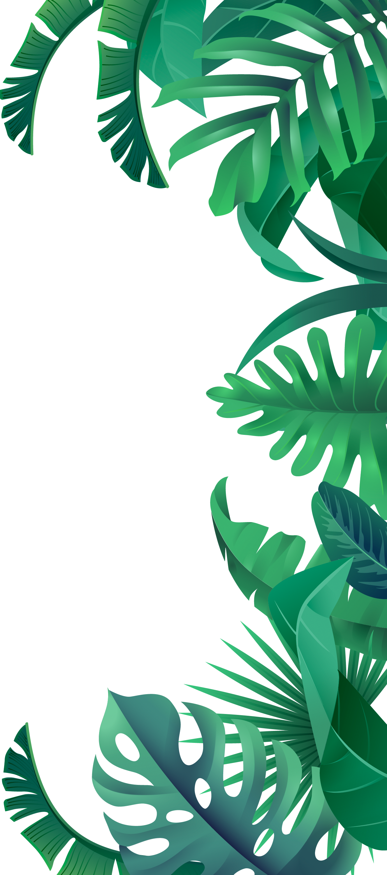 Jungle background